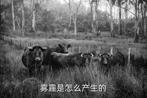 霧霾是怎么產生的