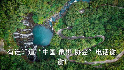象棋協(xié)會,中國象棋協(xié)會郵寄地址:北京天壇東路80號