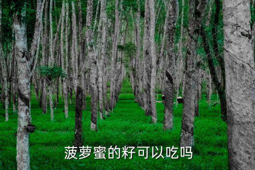  菠蘿蜜的籽可以吃嗎