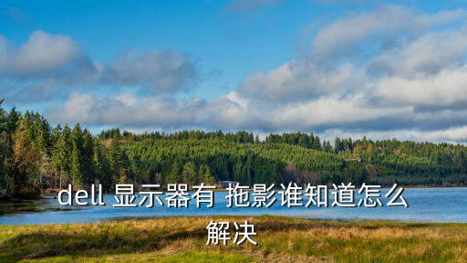 dell 顯示器有 拖影誰知道怎么解決