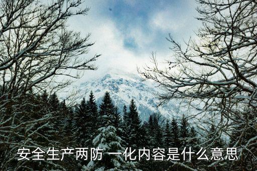 安全生產兩防 一化內容是什么意思