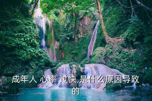 成年人 心率 過(guò)快,是什么原因?qū)е碌? class=