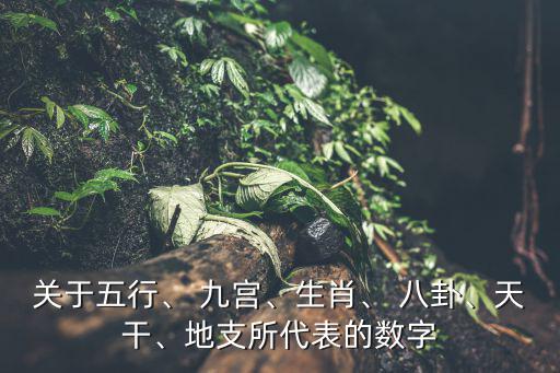 關于五行、 九宮、生肖、 八卦、天干、地支所代表的數字