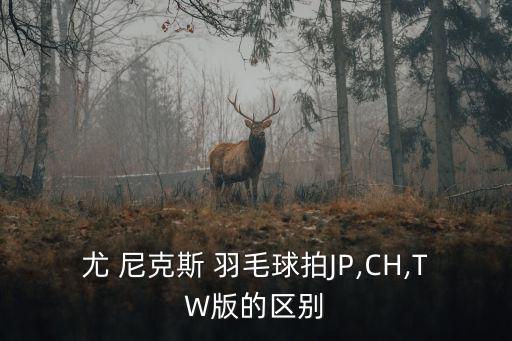 羽毛球拍尤尼克斯,世界著名羽毛球品牌尼克斯推出方形拍頭系列