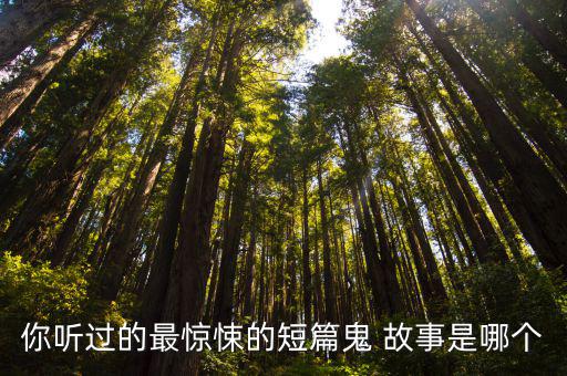 細思極恐的鬼故事,狗咬落地窗狂吠小男孩嚇哭媽媽:我怕!