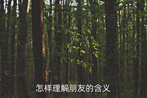 怎樣理解朋友的含義