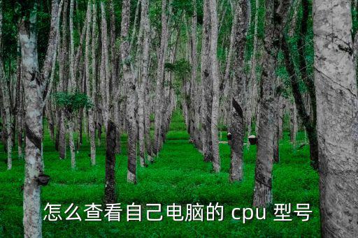 怎么查看自己電腦的 cpu 型號