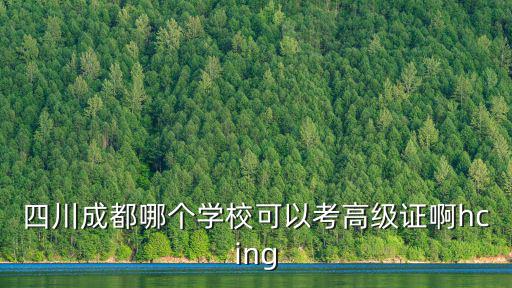 四川成都哪個學校可以考高級證啊hcing
