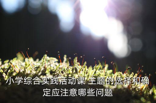 小學(xué)綜合實踐活動課 主題的選擇和確定應(yīng)注意哪些問題