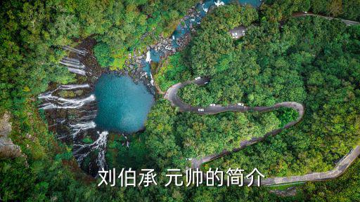  劉伯承 元帥的簡(jiǎn)介