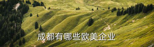 成都市歐博科技有限公司，成都天府軟件園c區(qū)7棟5樓是啥公司
