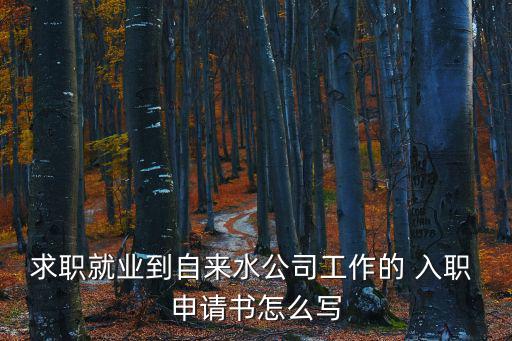 求職就業(yè)到自來水公司工作的 入職 申請書怎么寫