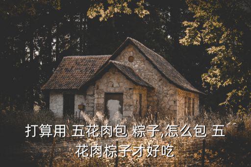 五花肉粽子,五花肉切片放入鍋中煮1小時(shí)即可