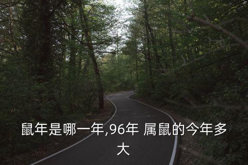 屬鼠的今年幾歲,2021年出生的屬鼠人虛歲年齡增加一歲