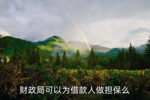 財政局可以為借款人做擔保么