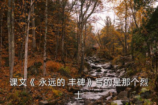 課文《 永遠的 豐碑》寫的是那個烈士