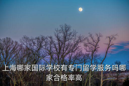上海哪家國際學校有專門留學服務嗎哪家合格率高