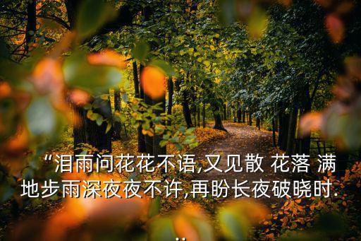 “淚雨問(wèn)花花不語(yǔ),又見(jiàn)散 花落 滿地步雨深夜夜不許,再盼長(zhǎng)夜破曉時(shí)...
