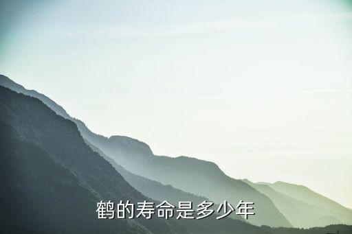 鶴的壽命，最長壽的鶴能活多久