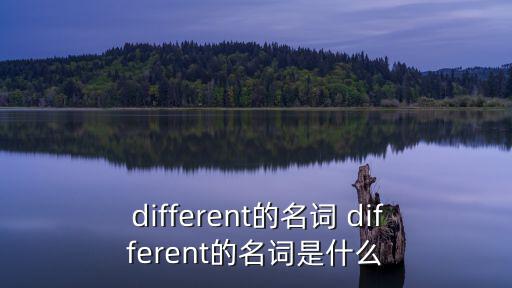  different的名詞 different的名詞是什么