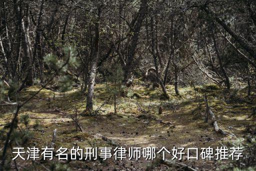 天津有名的刑事律師哪個好口碑推薦
