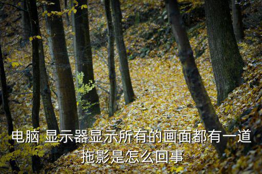 電腦 顯示器顯示所有的畫面都有一道 拖影是怎么回事