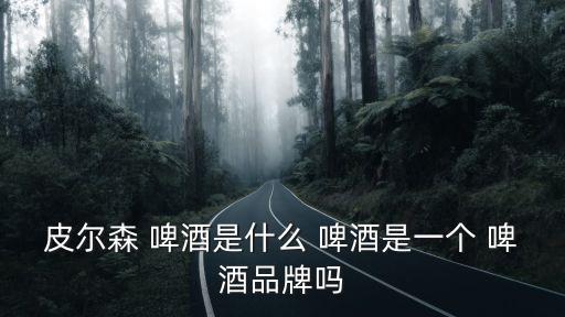 皮爾森 啤酒是什么 啤酒是一個 啤酒品牌嗎