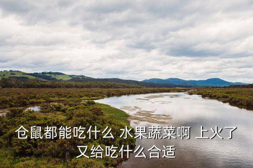 倉鼠都能吃什么 水果蔬菜啊 上火了又給吃什么合適