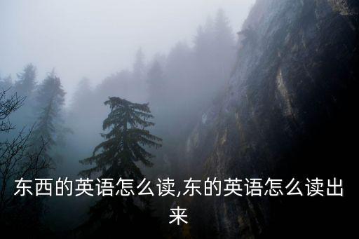 東西的英語(yǔ)怎么讀,東的英語(yǔ)怎么讀出來(lái)