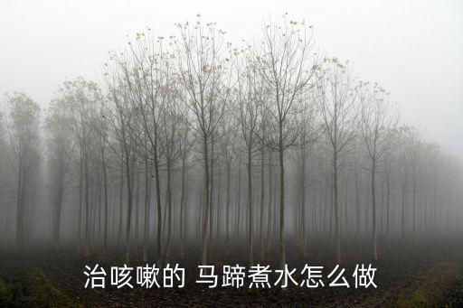 治咳嗽的 馬蹄煮水怎么做