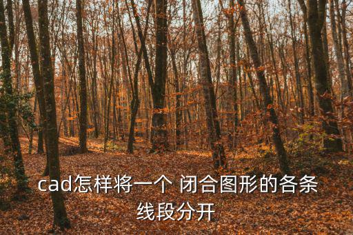  cad怎樣將一個 閉合圖形的各條線段分開