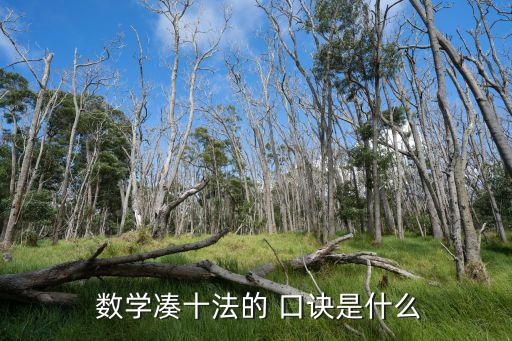  數學湊十法的 口訣是什么