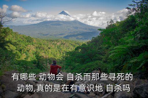 有哪些 動物會 自殺而那些尋死的 動物,真的是在有意識地 自殺嗎