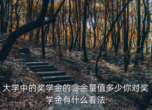 大學(xué)中的獎學(xué)金的含金量值多少你對獎學(xué)金有什么看法