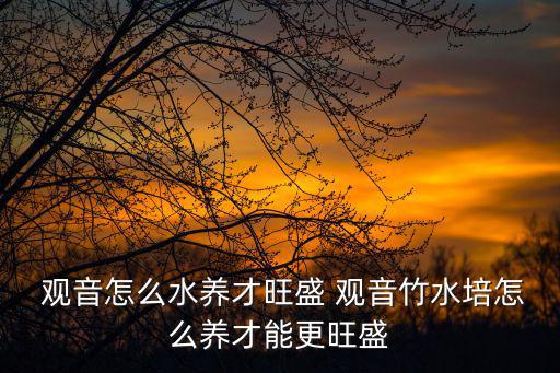  觀音怎么水養(yǎng)才旺盛 觀音竹水培怎么養(yǎng)才能更旺盛