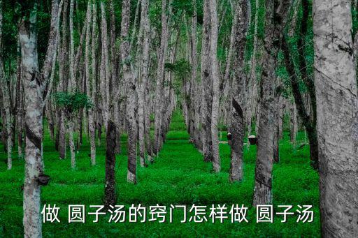 圓子湯,【幸運商業(yè)中心血拼拼湊五大元素!