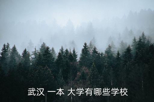  武漢 一本 大學有哪些學校