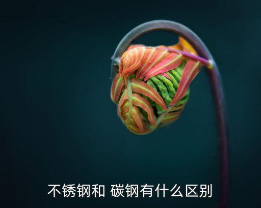 不銹鋼和 碳鋼有什么區(qū)別