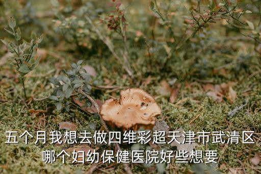 五個月我想去做四維彩超天津市武清區哪個婦幼保健醫院好些想要
