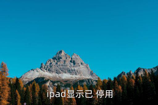  ipad顯示已 停用