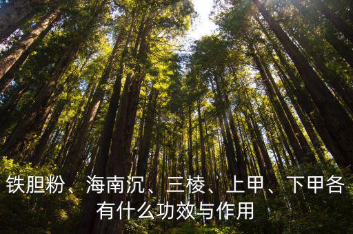 鱉甲的功效與作用,大米經常有蟲子光顧放一些龜殼有助驅蟲