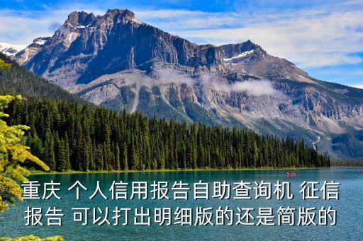重慶 個(gè)人信用報(bào)告自助查詢機(jī) 征信報(bào)告 可以打出明細(xì)版的還是簡(jiǎn)版的