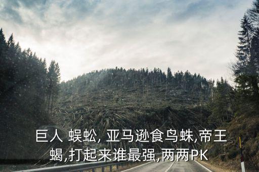  巨人 蜈蚣, 亞馬遜食鳥蛛,帝王蝎,打起來誰最強,兩兩PK