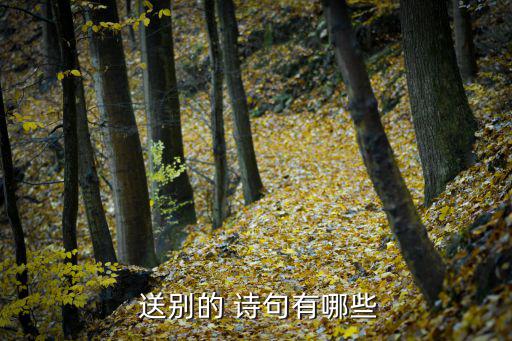 送別的詩句,黃鶴樓送別孟浩然詩意清新語言獨特內容