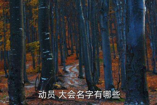 動員 大會名字有哪些