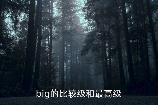 big的比較級和最高級
