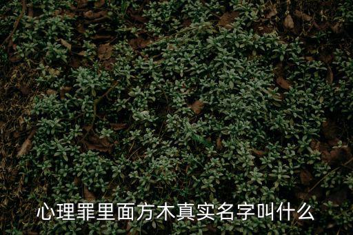 心理罪里面方木真實(shí)名字叫什么