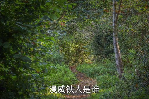 鋼鐵俠英文名，鋼鐵俠 用英語怎么說好比超人是superman