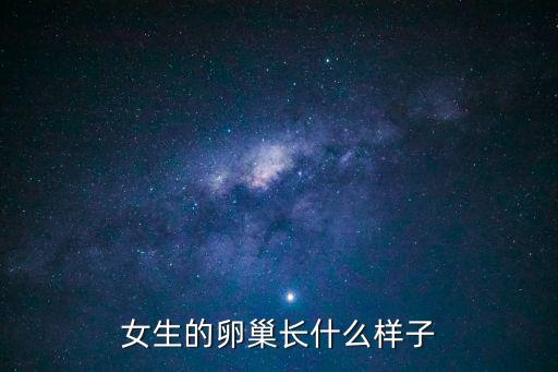 女生的卵巢長什么樣子