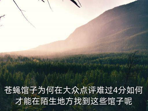蒼蠅館子為何在大眾點評難過4分如何才能在陌生地方找到這些館子呢